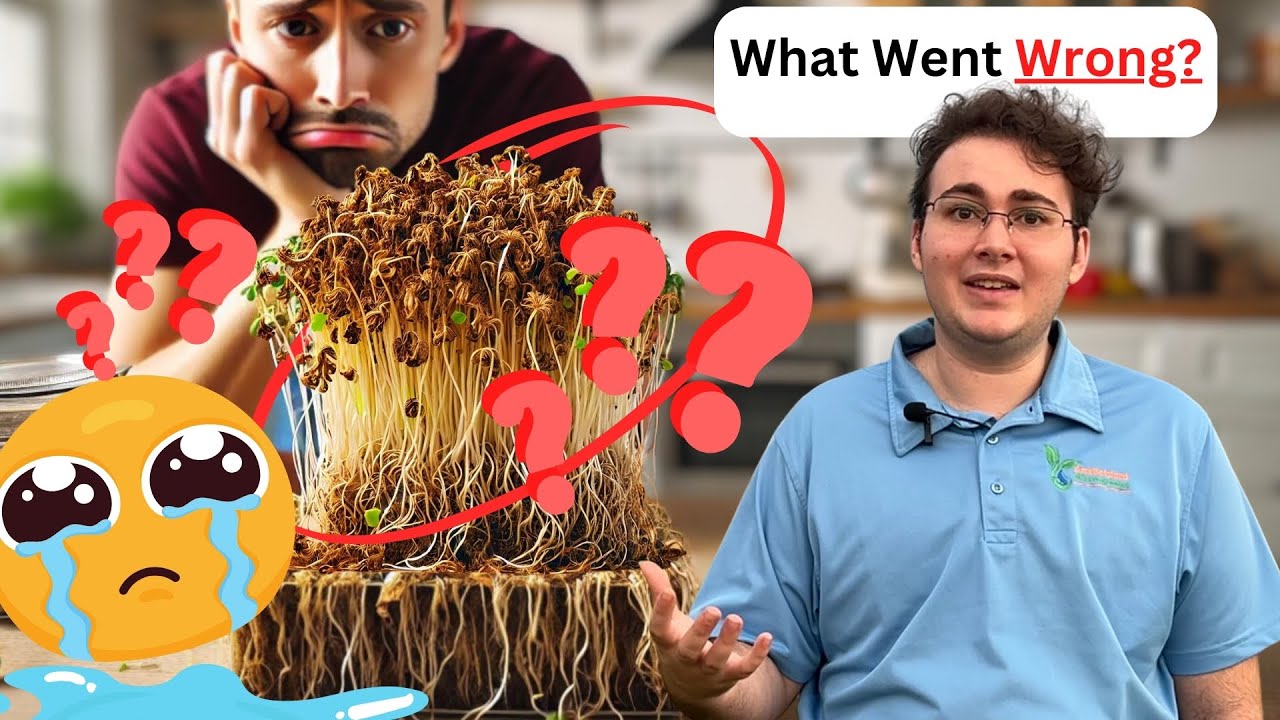 🚨 5 Mistakes Beginners Must Avoid When Growing Microgreens 🚨-part 1