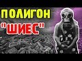 Протест против свалки в Шиесе | Ветерана лишили пенсии | Жизнь в России