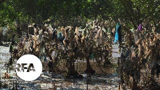 Vietnam’s Ocean Tides Awash with Plastic Trash  | Radio Free Asia (RFA)
