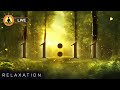 🔴 Relaxing Music 24/7, Stress Relief Music, Sleep Music, Meditation Music, Study, Calming Music