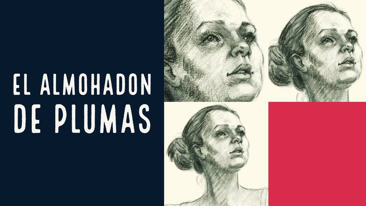 El Almohadón de Plumas de Horacio Quiroga - Un análisis, dos hipótesis