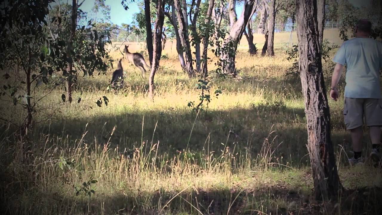 Darren Ross - Killing Me (Official Music Video)