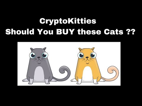 Crypto Kitties All About It , Should You Invest In These Cats? IS Crypto Kitties A Scam?