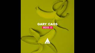 Gary Caos - Work It (Original Mix) Resimi