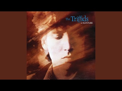 Bury Me Deep in Love - The Triffids