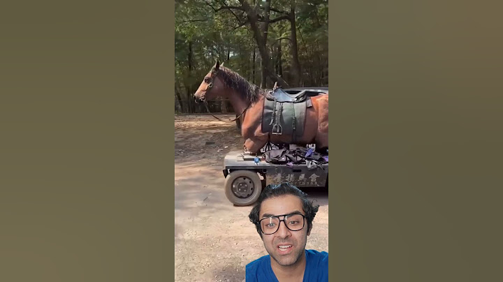 How a Fake Horse on Wheels Creates Movie Magic!