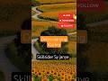 skillsider sponsor code||skillsider fake or real||skillsider ka account kaise banaye