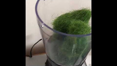 Static King by Woodland Scenics