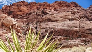 Red Rock Canyon, Las Vegas