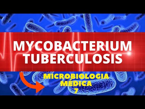 Vídeo: A Análise Em Todo O Genoma Dos Polimorfismos De Mycobacterium Tuberculosis Revela Associações Específicas De Linhagem Com Resistência A Medicamentos
