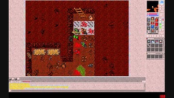 Tibia Bot Killing / Trapowanie botów #3