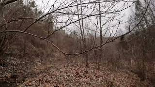 Exploring A Field In Letcher County Kentucky