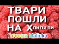 Инна Судакова /Твари пошли нах.... /Обзор Влогов /Шок/Треш /