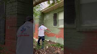 Green Staining on Brick Home