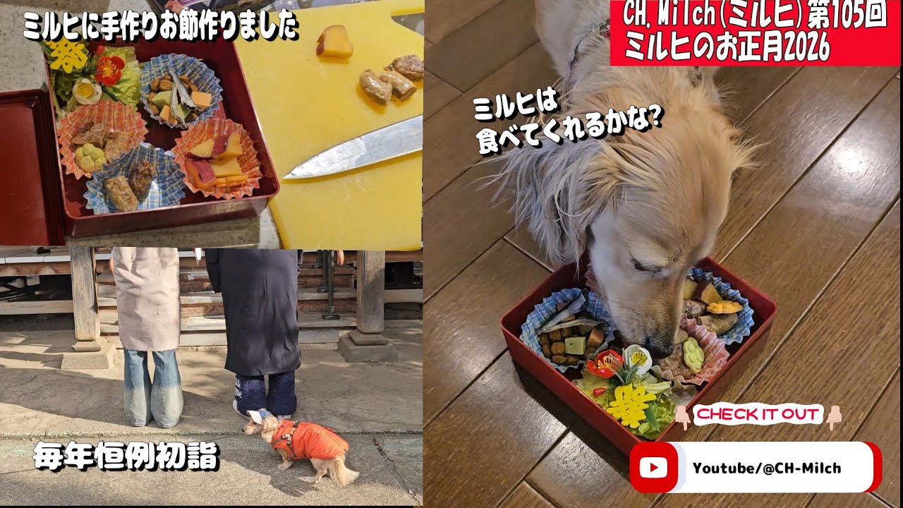 第104回ミルヒのお正月2026