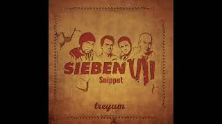 Sieben - Treyum ALBUMSNIPPET (mixed by DJ Risk)