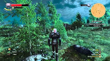 The Witcher 3: Wild Hunt - nice little graphic bug : walking through disappearing trees