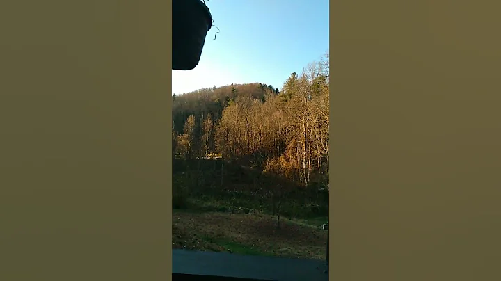 It's BEAUTIFUL