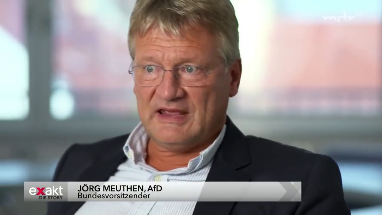 Wie Rechts Ist Die Afd Wirklich Wie Rechts Radikal ist die AFD wirklich Dokumentation Doku HD 2019