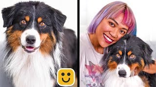 Paw-sitively Creative DIY Crafts \& DIY Pet Hacks! Simple Life Hacks \& More by Blossom