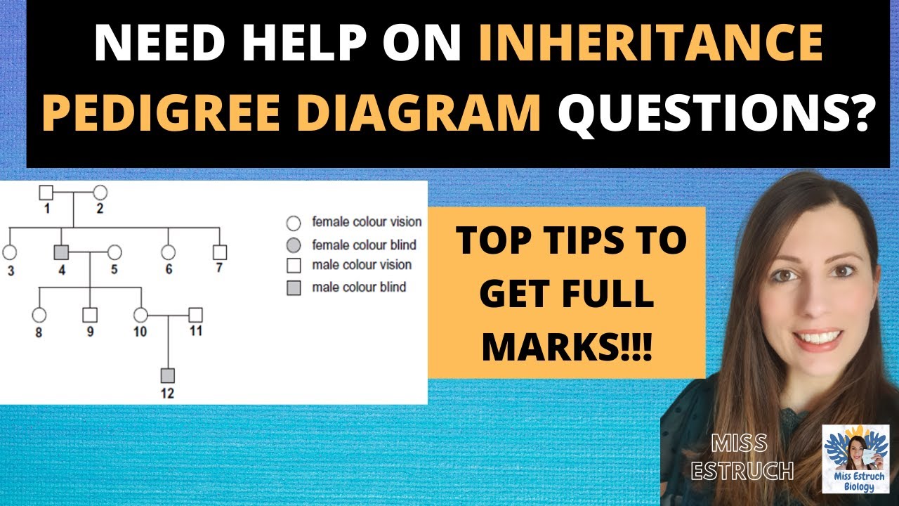 INHERITANCE PEDIGREE DIAGRAMS How to get FULL MARKS on exam questions