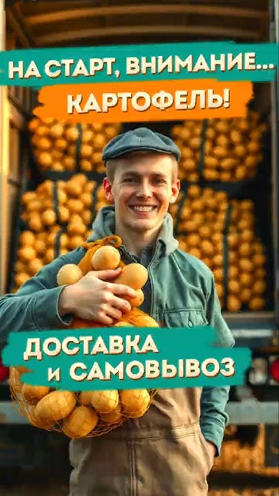 Доставка семенного картофеля АгроХарвест в Москве из КФХ "ЕГОРША" # ...