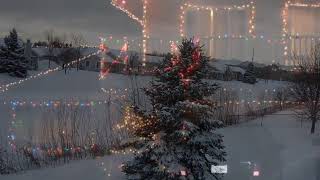 Video thumbnail of "Holy Night - Dalena"