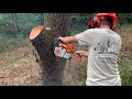 Breaking in the New Stihl MS 250!