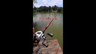 Lew's Fishing KVD Elite