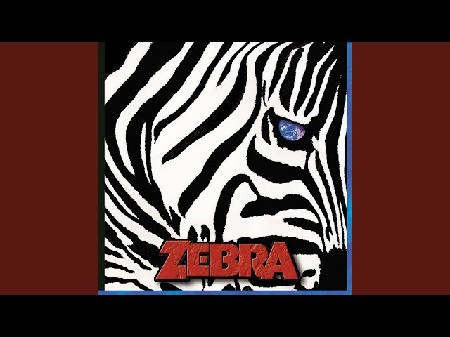 Zebra - Arabian Nights