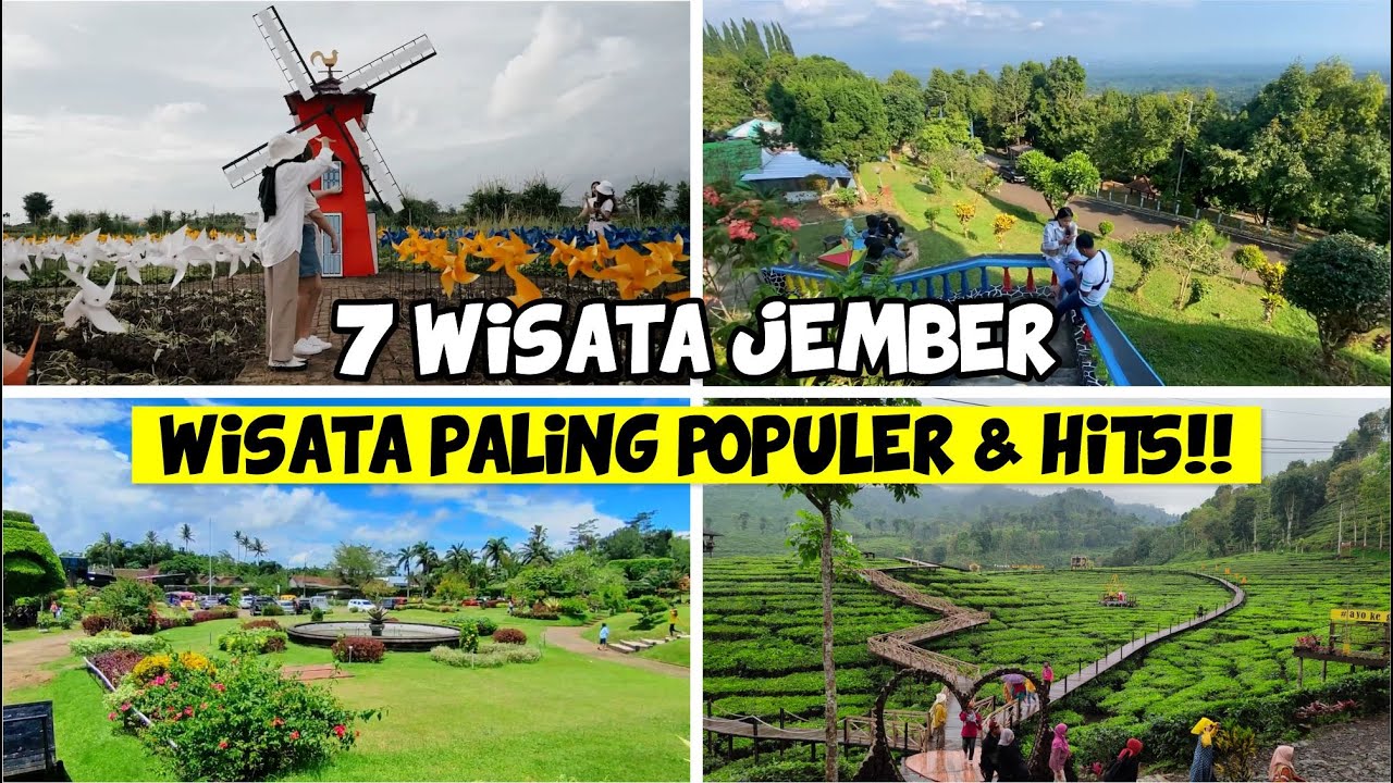 WISATA JAWA TIMUR 2024 : 7 DAFTAR WISATA JEMBER PALING POPULER & HITS