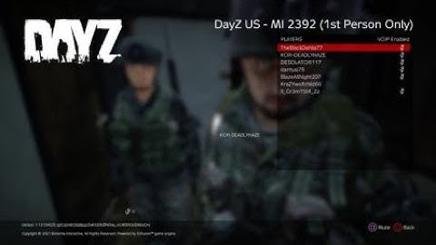 The surrender DayZ