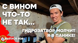 видео: Вино не забродило?! Срочно проверяю, всё ли с ним в порядке | Дом в Португалии. Выпуск 36 картинка: Вино не забродило?! Срочно проверяю, всё ли с ним в порядке | Дом в Португалии. Выпуск 36