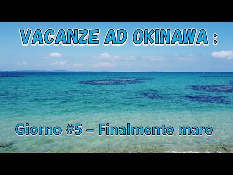 Video: Spiagge Giapponesi Che Dovresti Visitare, Da Okinawa A Nishihama E Shimoda