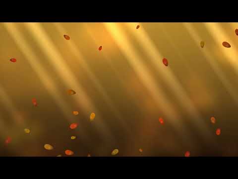 Sunlit autumn leaves 4k Visual Loop | Python + Taichi CUDA | 60 FPS