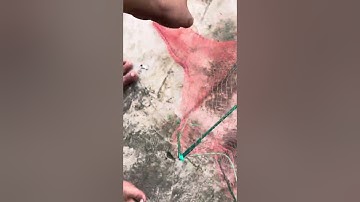 Lú bát quái 9 cửa ngục lỗ lưới 1 phân 2 giá 120k chưa tiền ship lh 0944969664