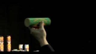 Remo Brazilian Samba Shaker