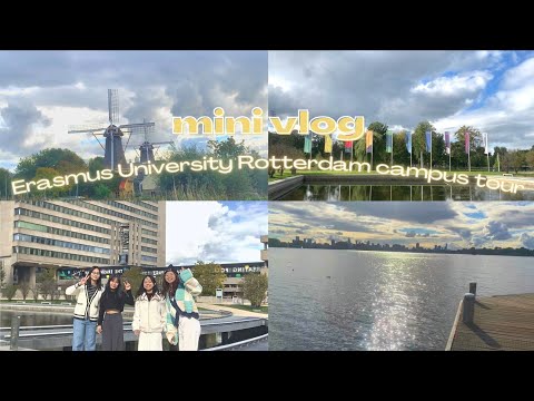 Video: Erasmus của Rotterdam