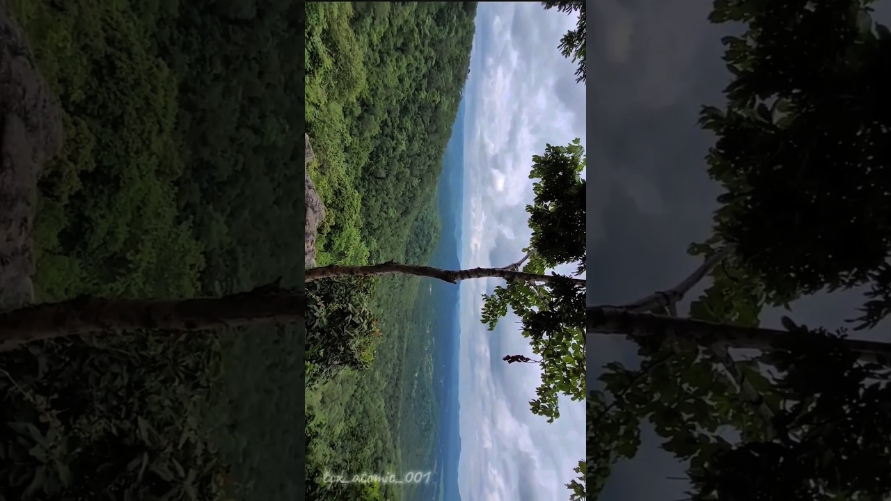 Chhattisgarh RICE bowl of INDIA (c.g.is love) 