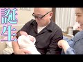 【緊急密着】山本家に第一子が生まれました【パパになったけいちょん】