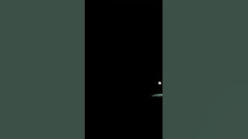 Thumbnail of Coqui frogs and night time sounds in a rain forest