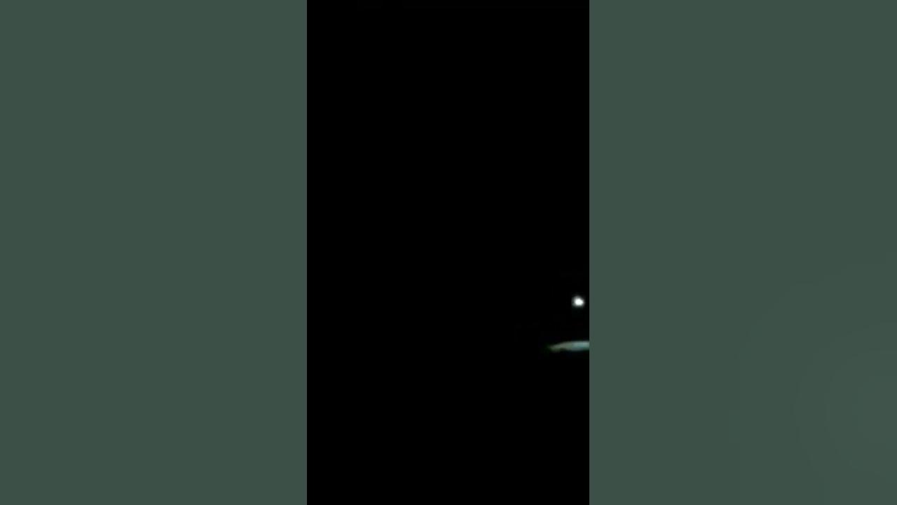 Coqui frogs and night time sounds in a rain forest