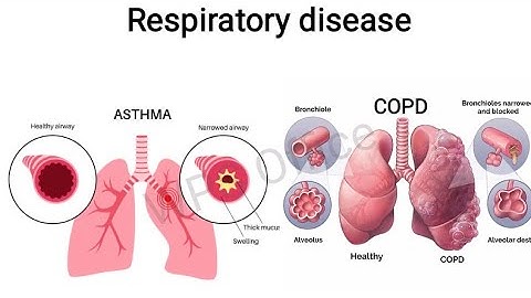🌬️ Asthma vs COPD | Key Differences Explained with Animation | Health Education Shorts