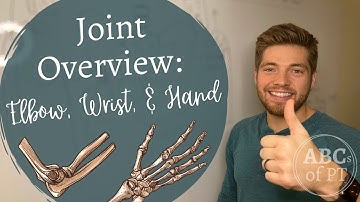Elbow, Wrist, & Hand | Joints and Arthrokinematics