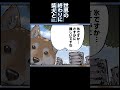 正論に八つ当たりされる柴犬 #shorts 【世界の終わりに柴犬と切り抜き / アニメ / 漫画】