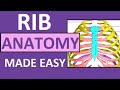 Rib Anatomy | True Ribs, False Ribs, Floating Ribs | Typical vs Atypical Ribs