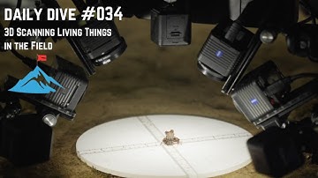 Daily Dive # 034 | 3D Scanning Living Things in the Field