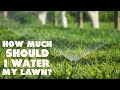 How Much Should I Water My Lawn? – Lawn Watering Tips