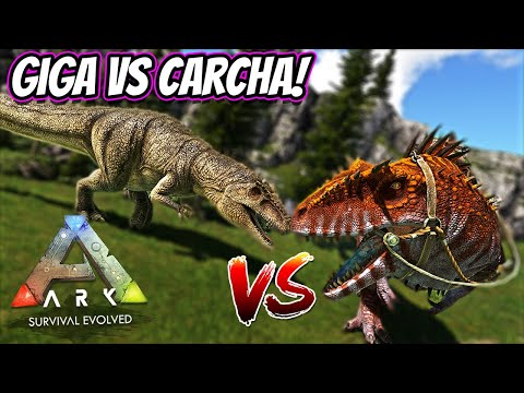 Video: Welcher Carcharodontosaurus ist größer als Giganotosaurus?