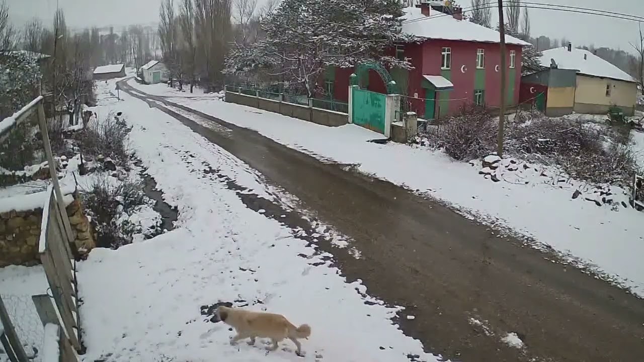 AVCIPINAR KÖYÜ KIŞ 2026